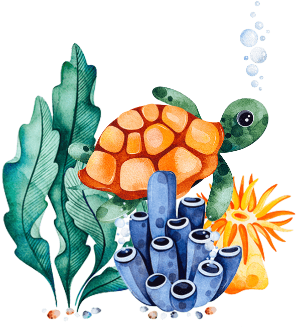 cartoon of turtle in coral reef